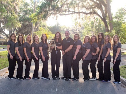 smiling Dental Team